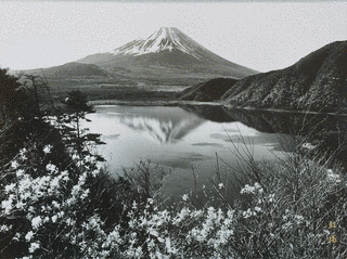 岡田紅陽の画像