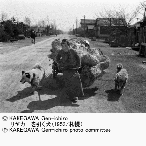 掛川源一郎の画像