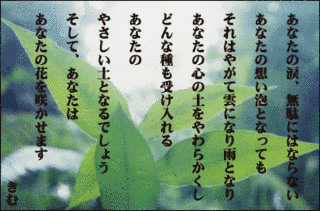 きむの画像