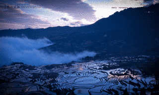 黒岩正和の画像