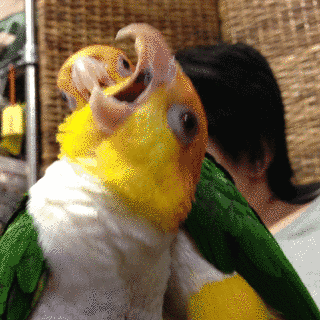杉吉ゆうじの画像