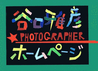 谷口雅彦の画像