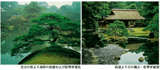 西川孟の画像