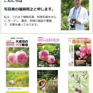 福岡将之の画像