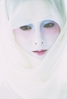 藤井秀樹の画像