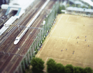 本城直季の画像