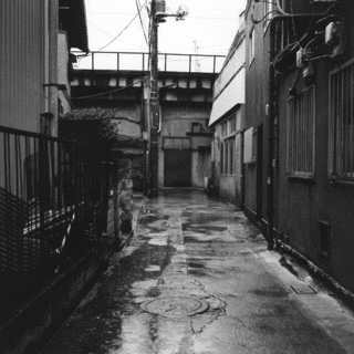 渡辺兼人の画像