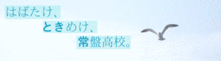 中村千栄子の画像