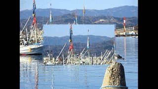 吉田信太の画像
