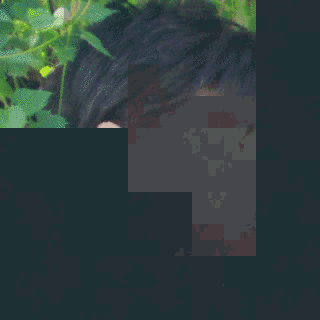 近藤芳樹の画像