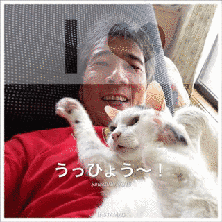 酒井省吾の画像