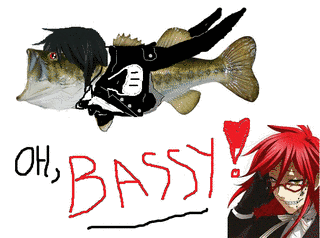 BASSYの画像