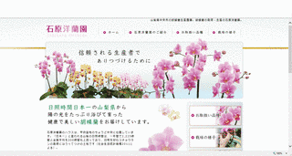 石原洋の画像