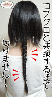 蓬かすみの画像