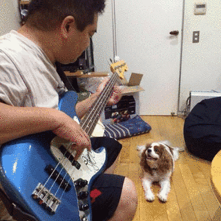 斎藤政憲の画像