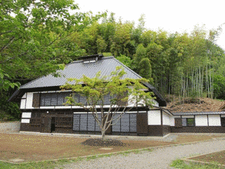 新井領一郎の画像
