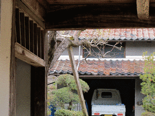 米井源次郎の画像