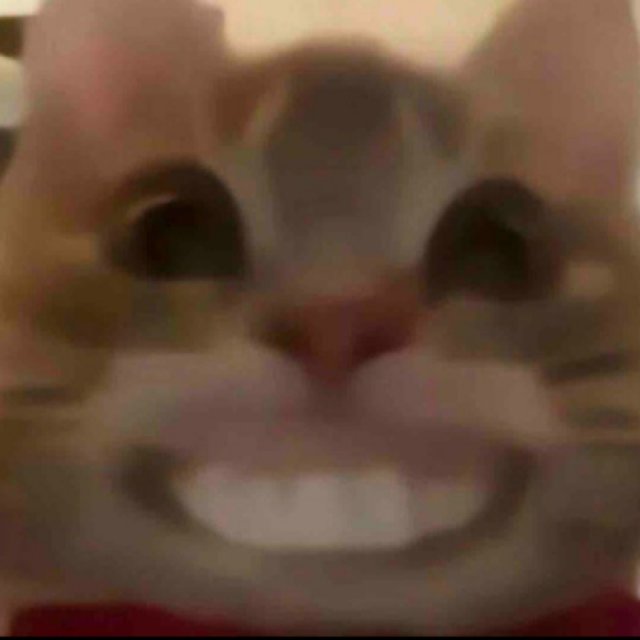 user_image