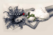 華ヒラクトキ