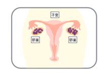 誰でもわかる!月経のメカニズム①