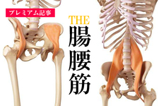 【プレミアム】THE腸腰筋ー大腰筋ー