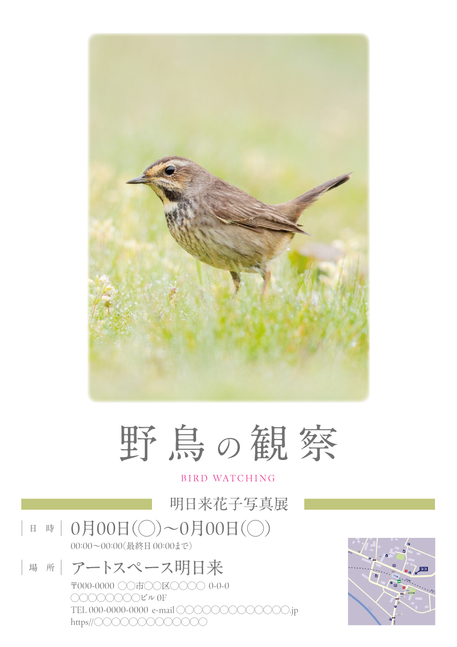 体験会・観察会・鑑賞会