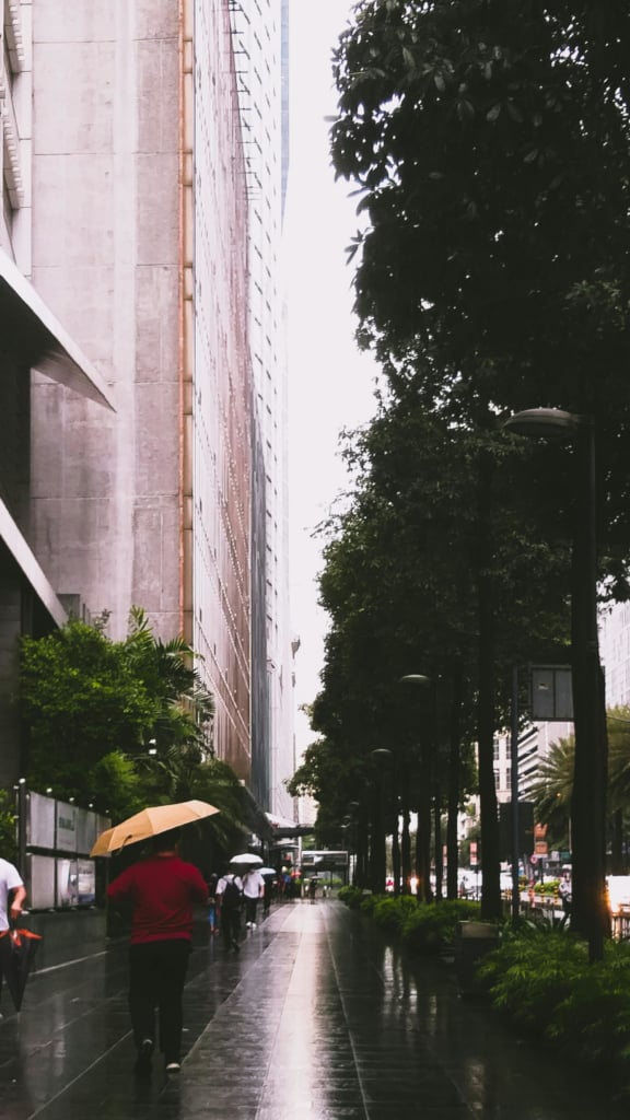  A person in a red shirt walks under a beige umbrella down a wet sidewalk lined with trees and modern buildings. A few other pedestrians with umbrellas are visible in the distance. The overall scene has a cool, muted tone.