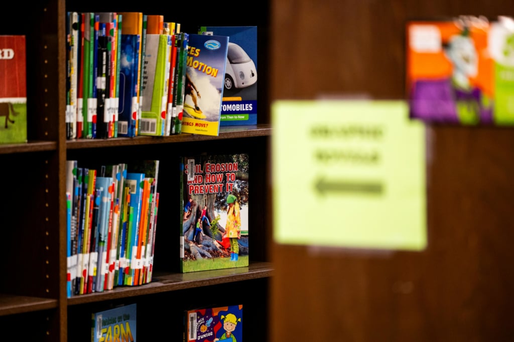 A close-up shot of a dark wooden bookshelf filled with various colorful children's books. One book, titled 