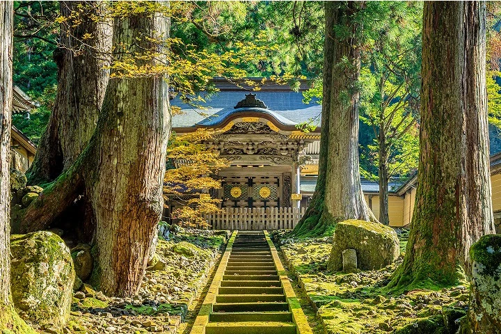 エリア画像