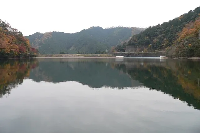 エリア画像