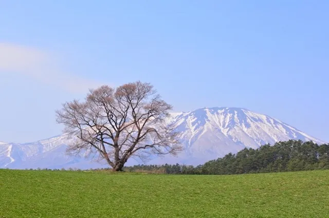 エリア画像