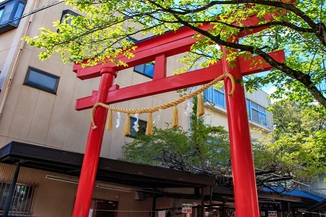 エリア画像