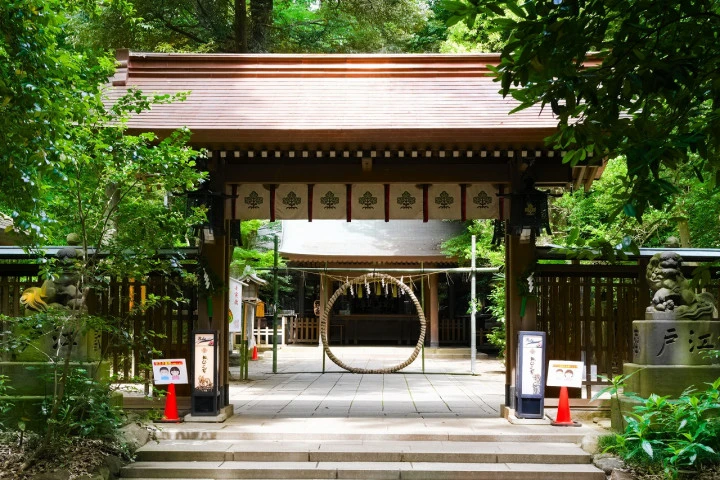 エリア画像