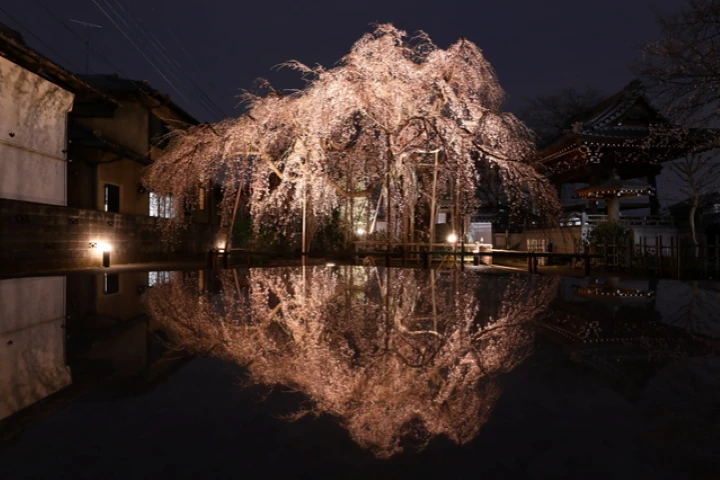 エリア画像
