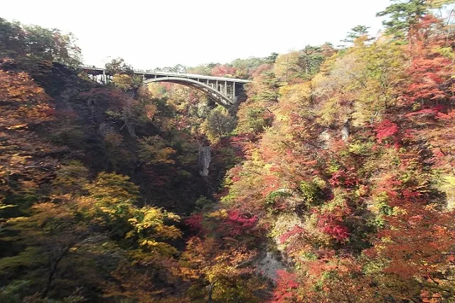 エリア画像