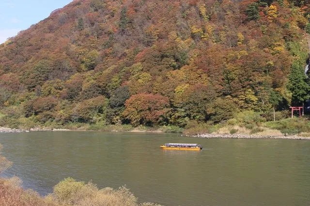 エリア画像