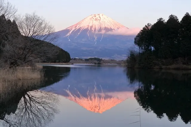 エリア画像