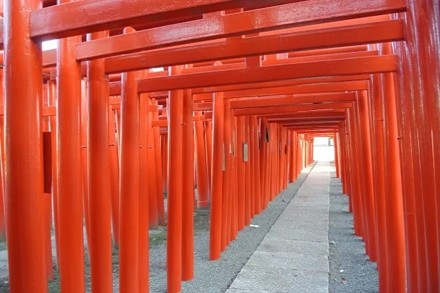 エリア画像