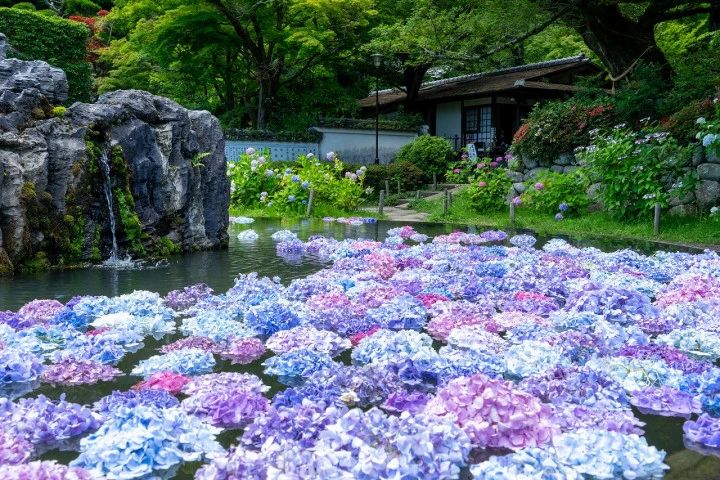 エリア画像
