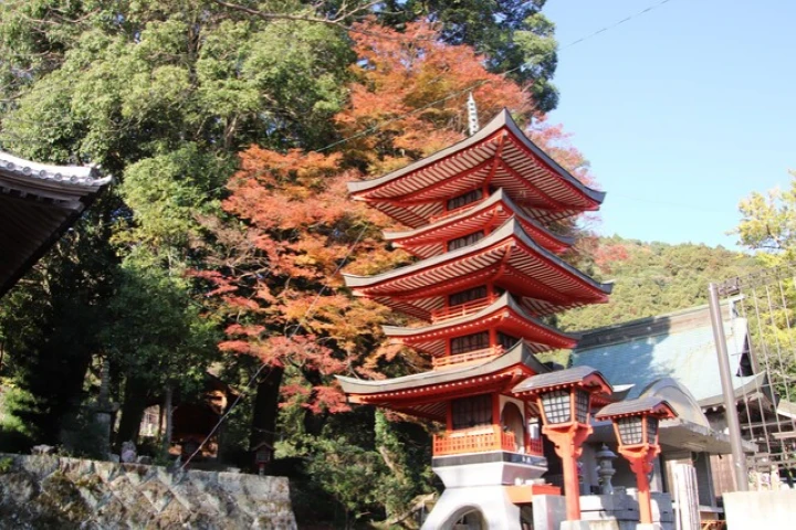 エリア画像