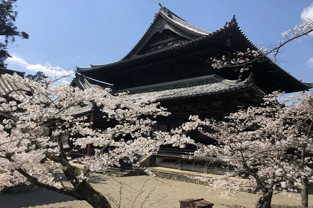 エリア画像
