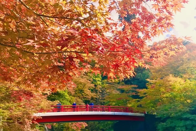 エリア画像