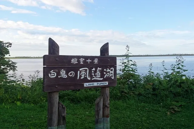 エリア画像
