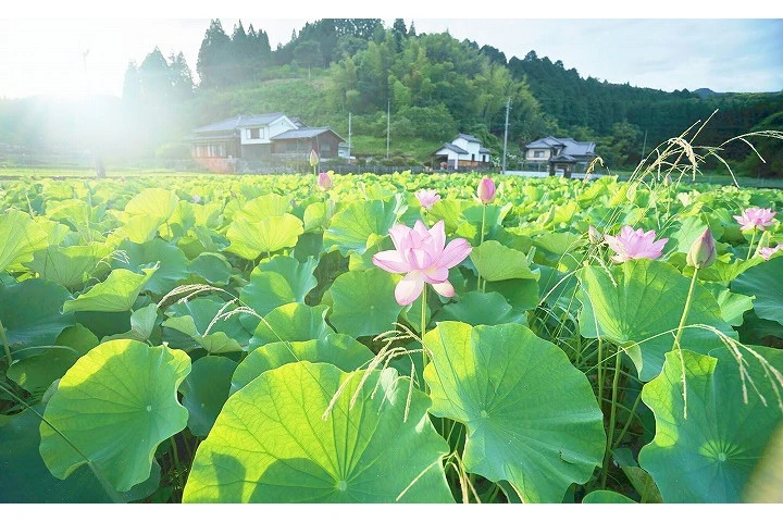 エリア画像