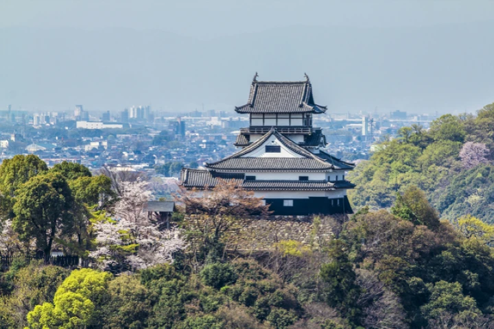エリア画像