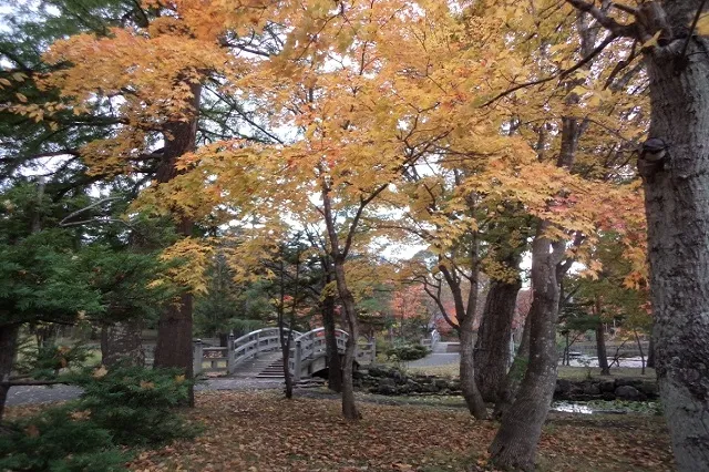 エリア画像