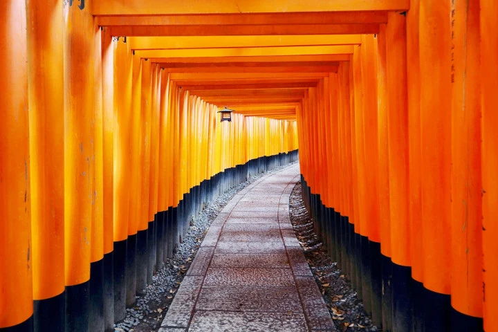 エリア画像