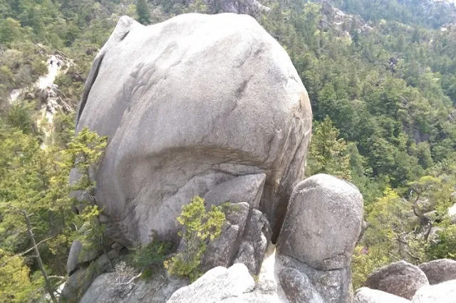エリア画像