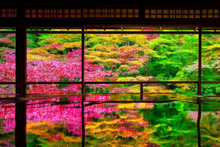 エリア画像