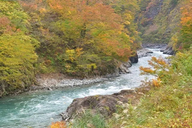 エリア画像